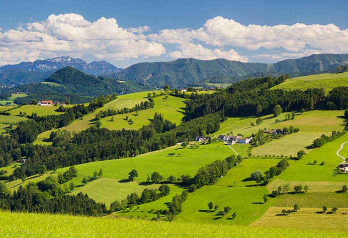 Alpenvorland, naher Waidhofen an der Ybbs, Niederösterreich, Ö