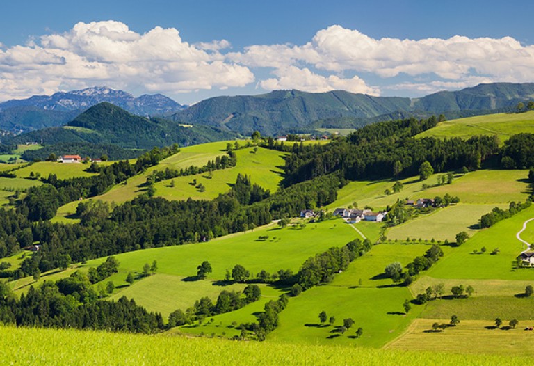 Alpenvorland, naher Waidhofen an der Ybbs, Niederösterreich, Ö